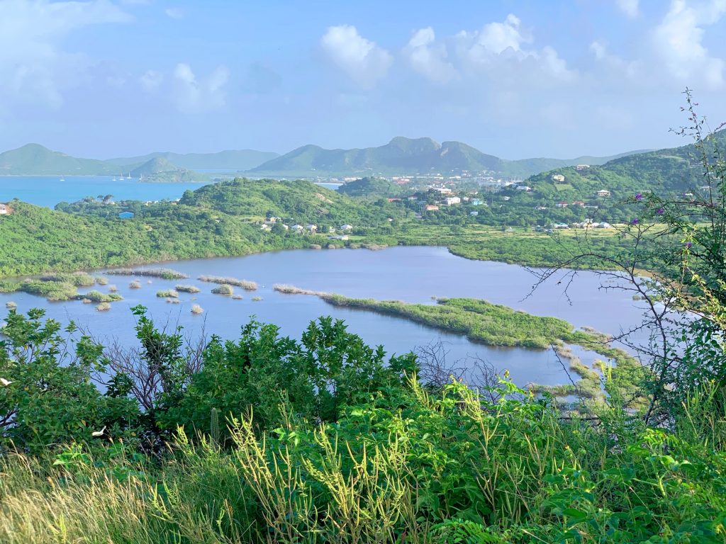 View of Darkwood in Antigua